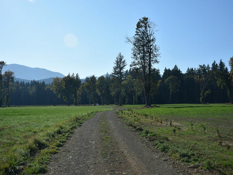 Lot-15 Wavell Road, Fanny Bay, BC, V0R 1W0 - 20