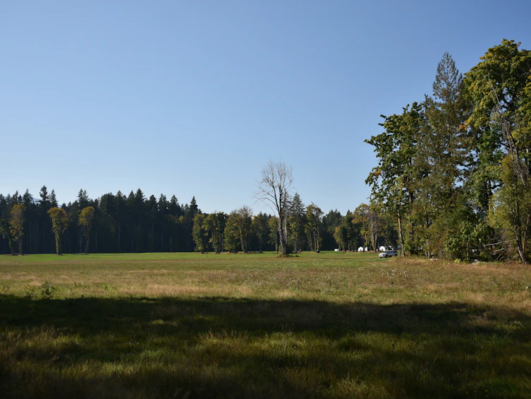 Lot-15 Wavell Road, Fanny Bay, BC, V0R 1W0 - 25