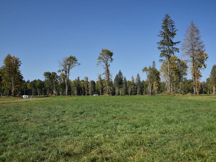 Lot-15 Wavell Road, Fanny Bay, BC, V0R 1W0 - 27