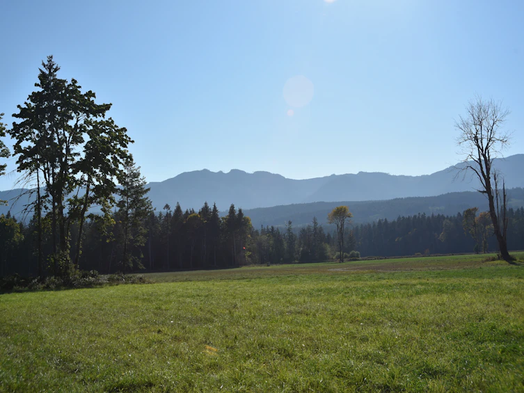 Lot-15 Wavell Road, Fanny Bay, BC, V0R 1W0 - 31