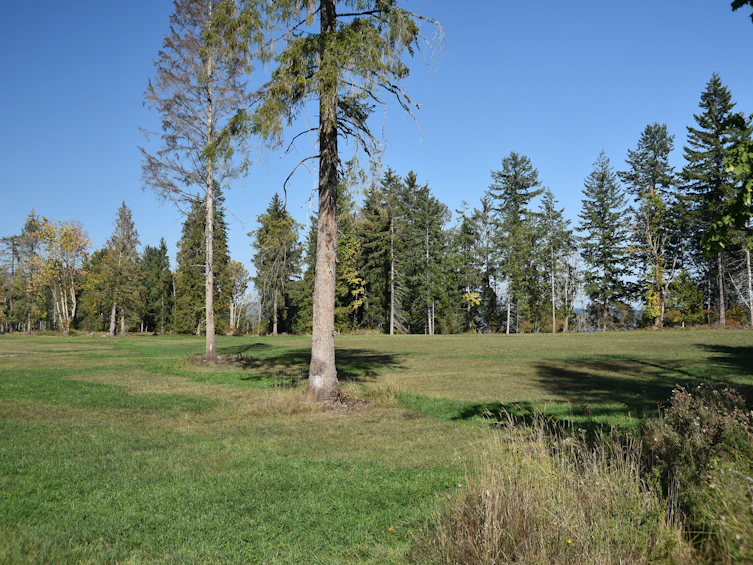 Lot-15 Wavell Road, Fanny Bay, BC, V0R 1W0 - 32