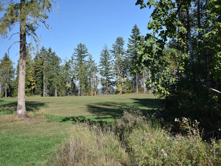 Lot-15 Wavell Road, Fanny Bay, BC, V0R 1W0 - 33