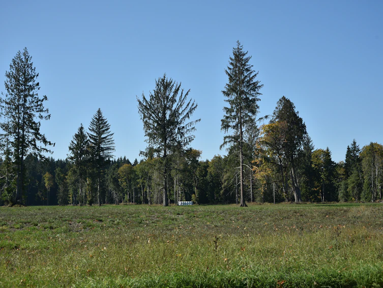 Lot-15 Wavell Road, Fanny Bay, BC, V0R 1W0 - 38