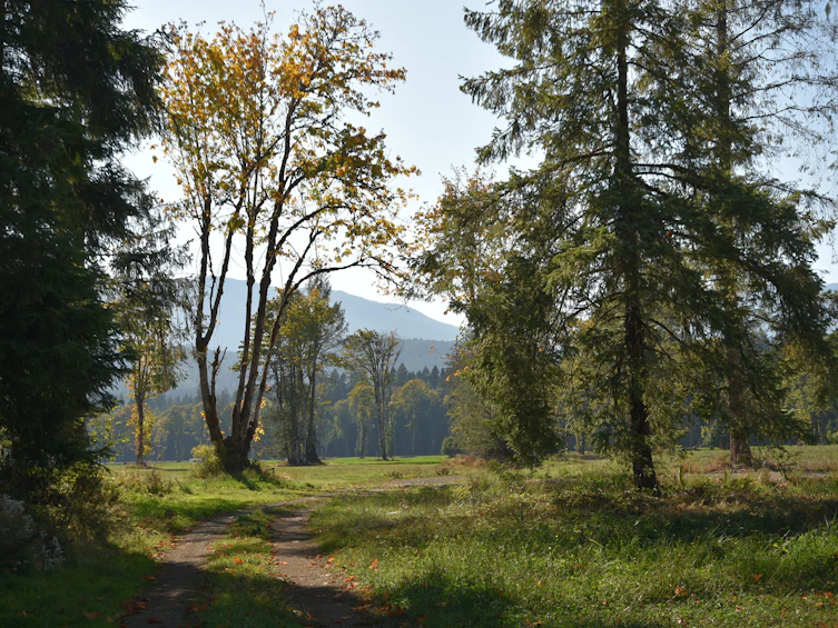 Lot-15 Wavell Road, Fanny Bay, BC, V0R 1W0 - 42
