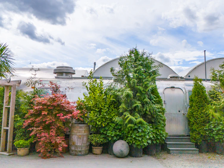 3387 Tolmie Road, Abbotsford, BC, V3G 2T9 - 14