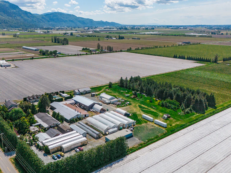 3387 Tolmie Road, Abbotsford, BC, V3G 2T9 - 10