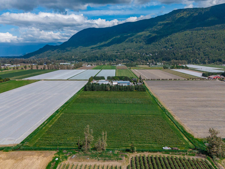 3387 Tolmie Road, Abbotsford, BC, V3G 2T9