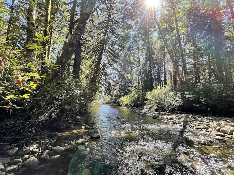 6411 Brittain River, Pender Harbour Egmont, BC, V0N 2W0 - 12