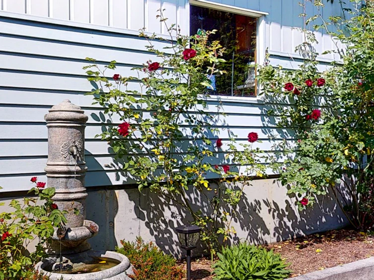 4569 Francis Peninsula Road, Pender Harbour Egmont, BC, V0N 2H1 - 20