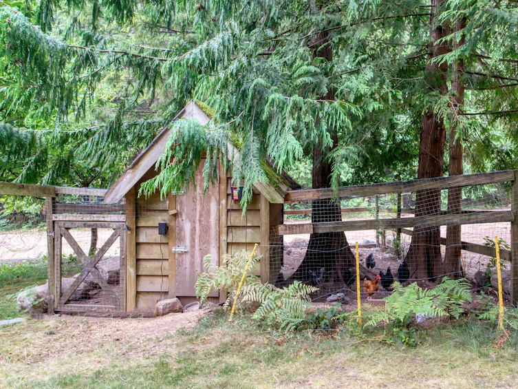 6979 Sechelt Inlet Road, Sechelt, BC, V7Z 0P1 - 38