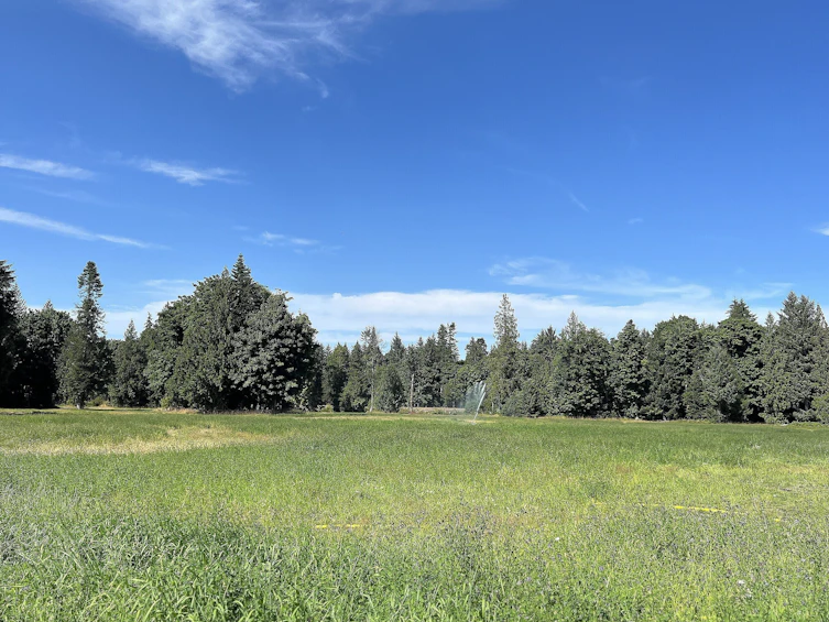 8991 South Island Highway, Fanny Bay, BC, V0R 1W0 - 4