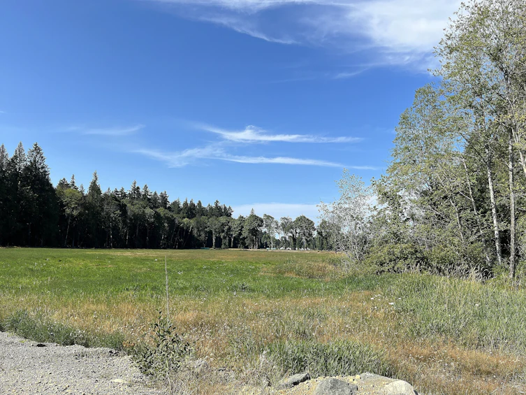 8991 South Island Highway, Fanny Bay, BC, V0R 1W0 - 12