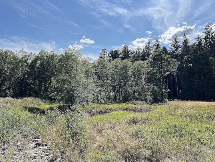 8991 South Island Highway, Fanny Bay, BC, V0R 1W0 - 34