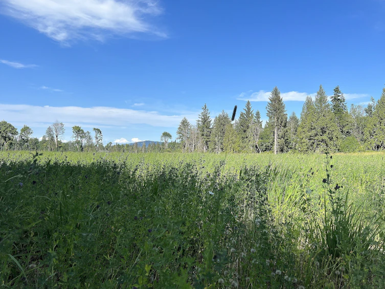 8991 South Island Highway, Fanny Bay, BC, V0R 1W0 - 17