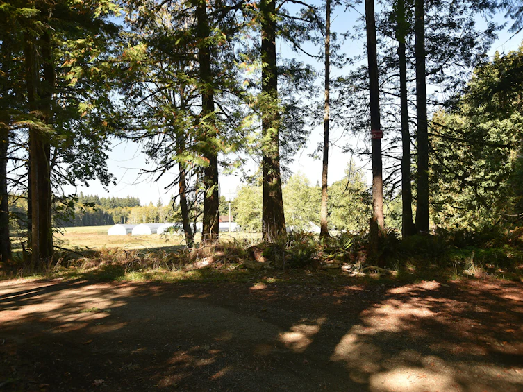 8991 South Island Highway, Fanny Bay, BC, V0R 1W0 - 5
