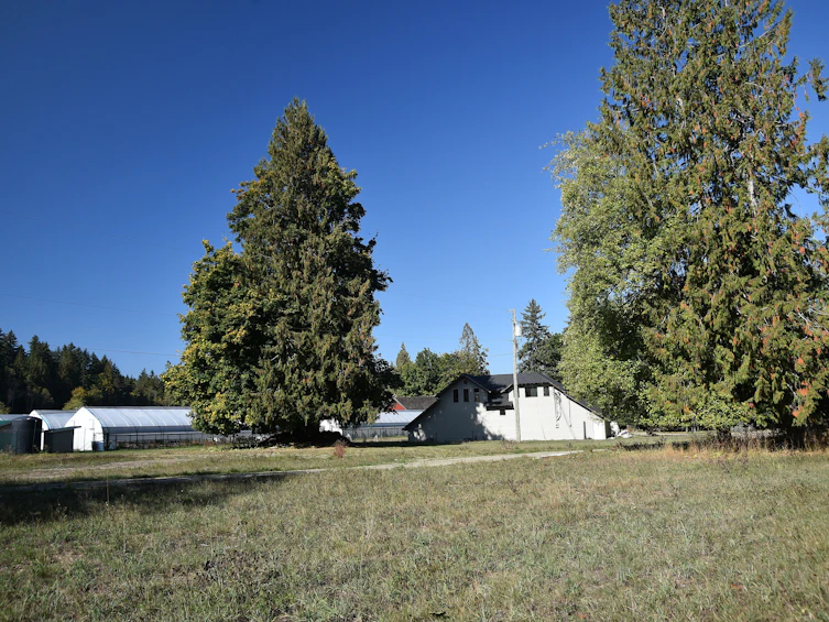 8991 South Island Highway, Fanny Bay, BC, V0R 1W0 - 29