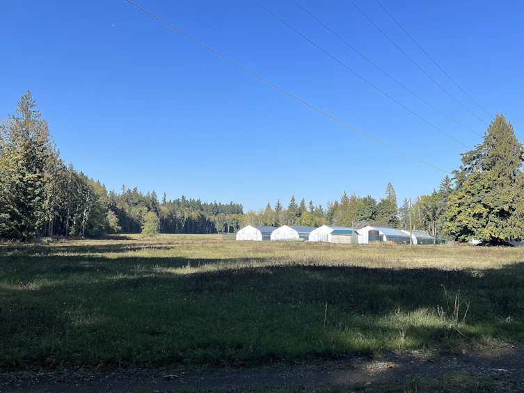 8991 South Island Highway, Fanny Bay, BC, V0R 1W0 - 20