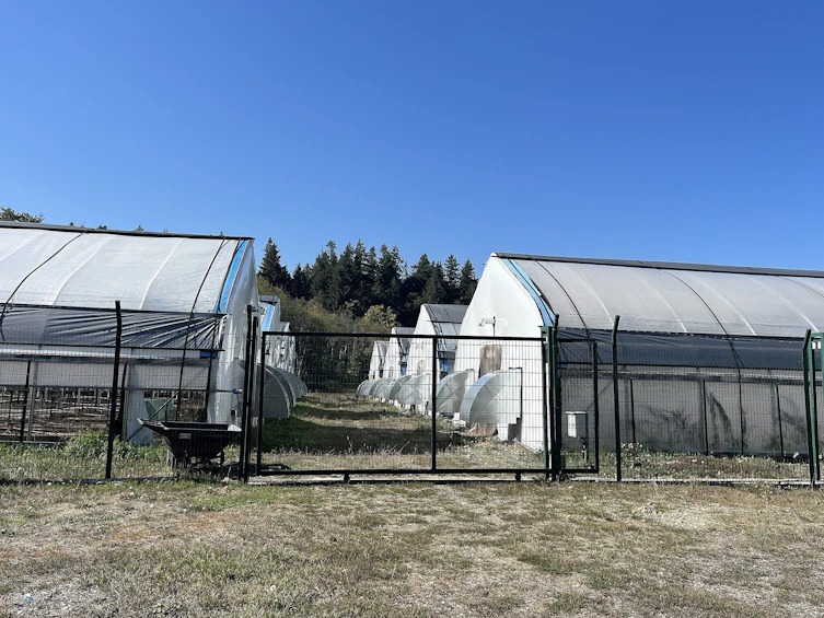 8991 South Island Highway, Fanny Bay, BC, V0R 1W0 - 44