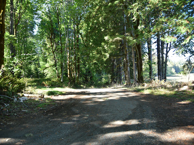 8991 South Island Highway, Fanny Bay, BC, V0R 1W0 - 26