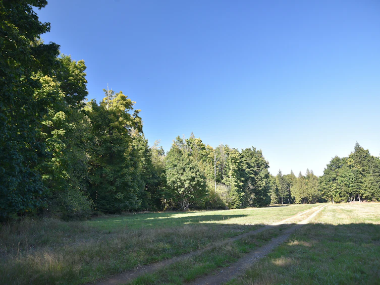 8991 South Island Highway, Fanny Bay, BC, V0R 1W0 - 23