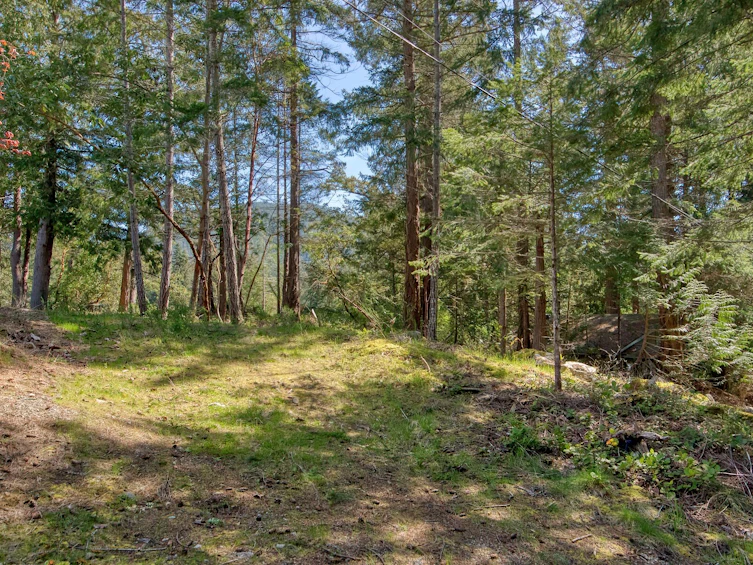 12814 Alexander Road, Pender Harbour Egmont, BC, V0N 2H1 - 14