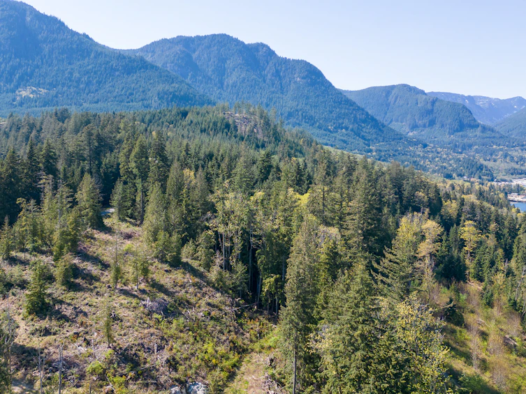 11 Witherby Road, Gibsons, BC, V0N 1V6 - 23