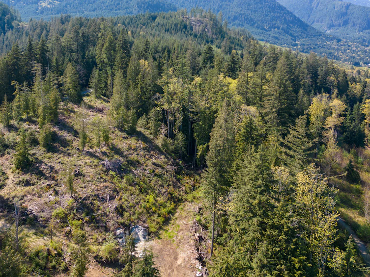 11 Witherby Road, Gibsons, BC, V0N 1V6 - 33
