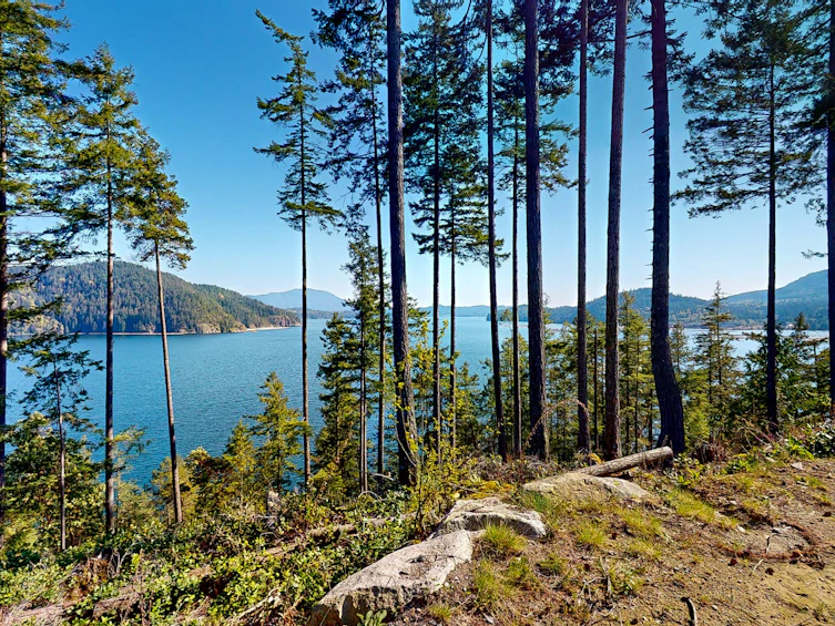 11 Witherby Road, Gibsons, BC, V0N 1V6 - 10