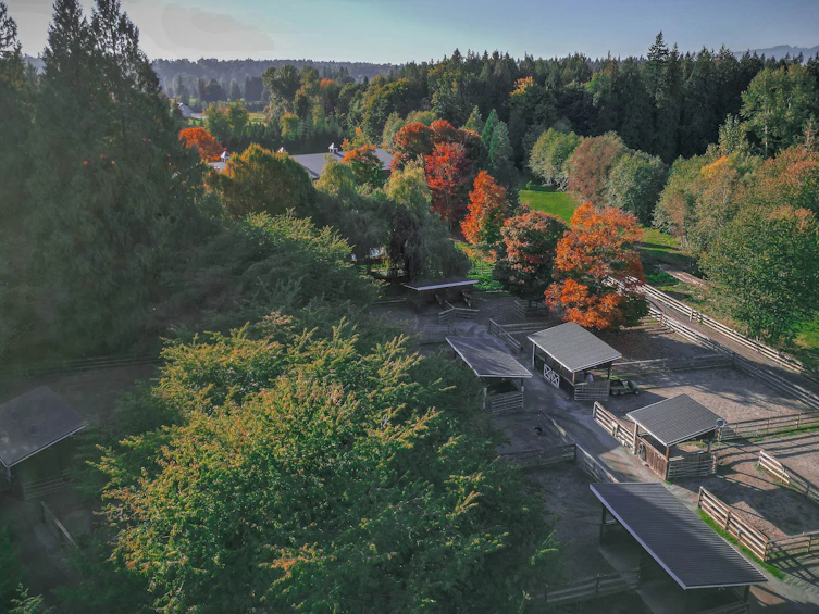 25769 82nd Avenue, Langley, BC, V1M 2M8 - 10