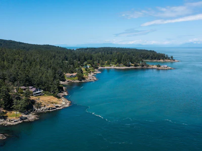 379 Mary Ann Point Road - 4