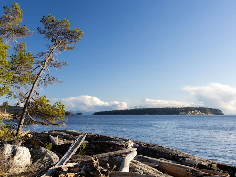Lot-A B Turnagain Island, Halfmoon Bay, BC, V7Z 1B7 - 24