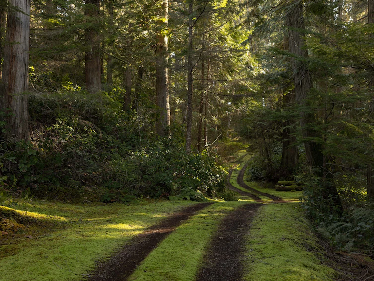 Lot-A B Turnagain Island, Halfmoon Bay, BC, V7Z 1B7 - 25
