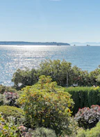 2246 Bellevue Avenue 101