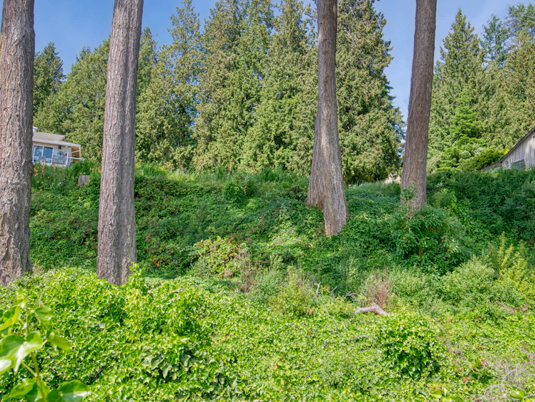 Lot-12 Sunshine Coast Highway, Sechelt, BC, V7Z 0N6 - 12