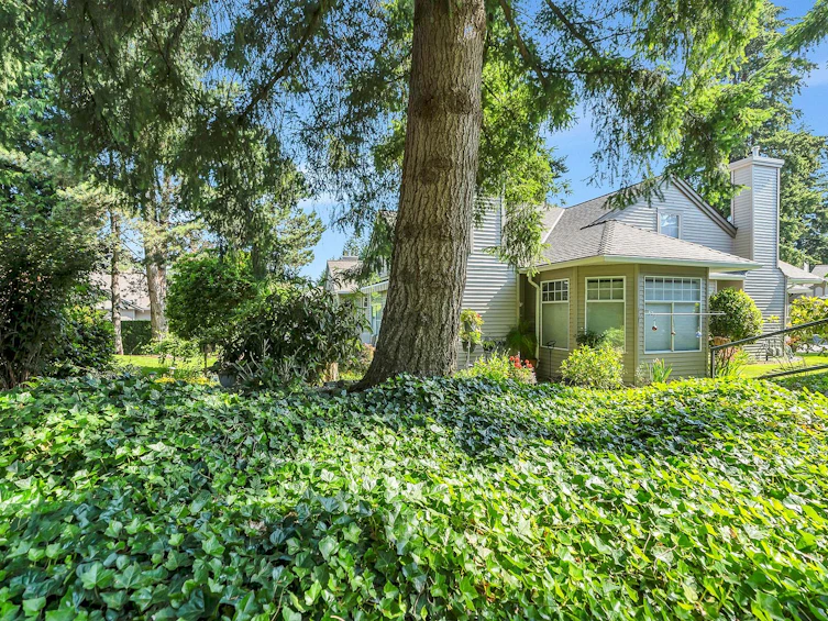 49-2533 152 Street, Surrey, BC, V4P 1N4 - 41