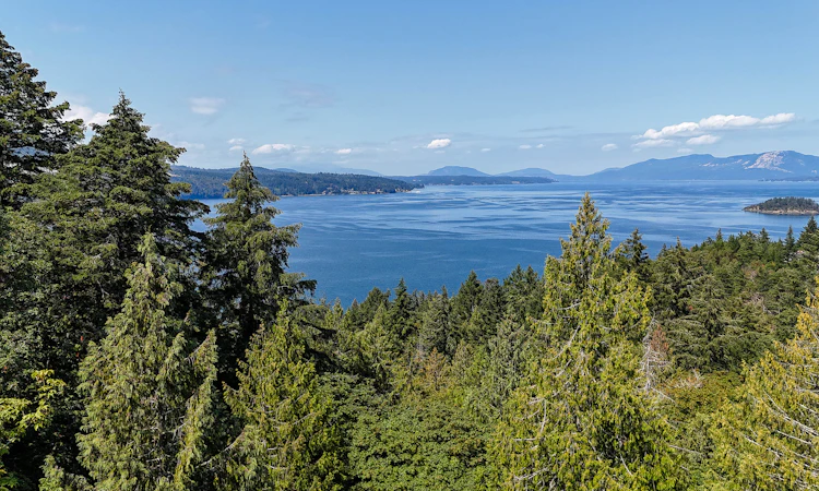 Lot 2-4 Willis Point Road