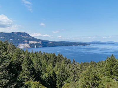 Lot 2-4 Willis Point Road - 2
