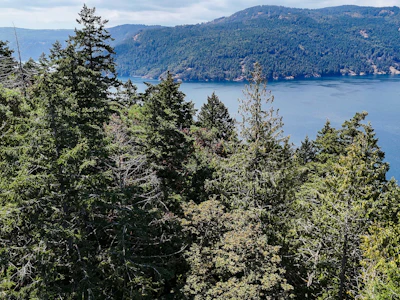 Lot 2-4 Willis Point Road - 4