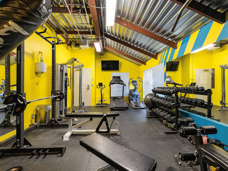 245 Alexander Street, Vancouver, BC, V6A 1C2 - 24