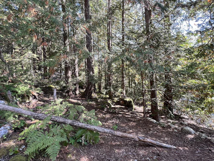Lot-19 Tuwanek Place, Sechelt, BC, V7Z 0P4 - 8