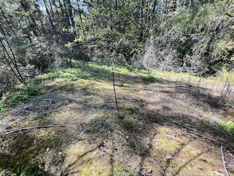 Lot-21 Sechelt Inlet Road, Sechelt, BC, V7Z 0C9 - 6