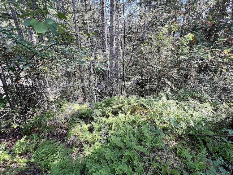 Lot-21 Sechelt Inlet Road, Sechelt, BC, V7Z 0C9 - 10