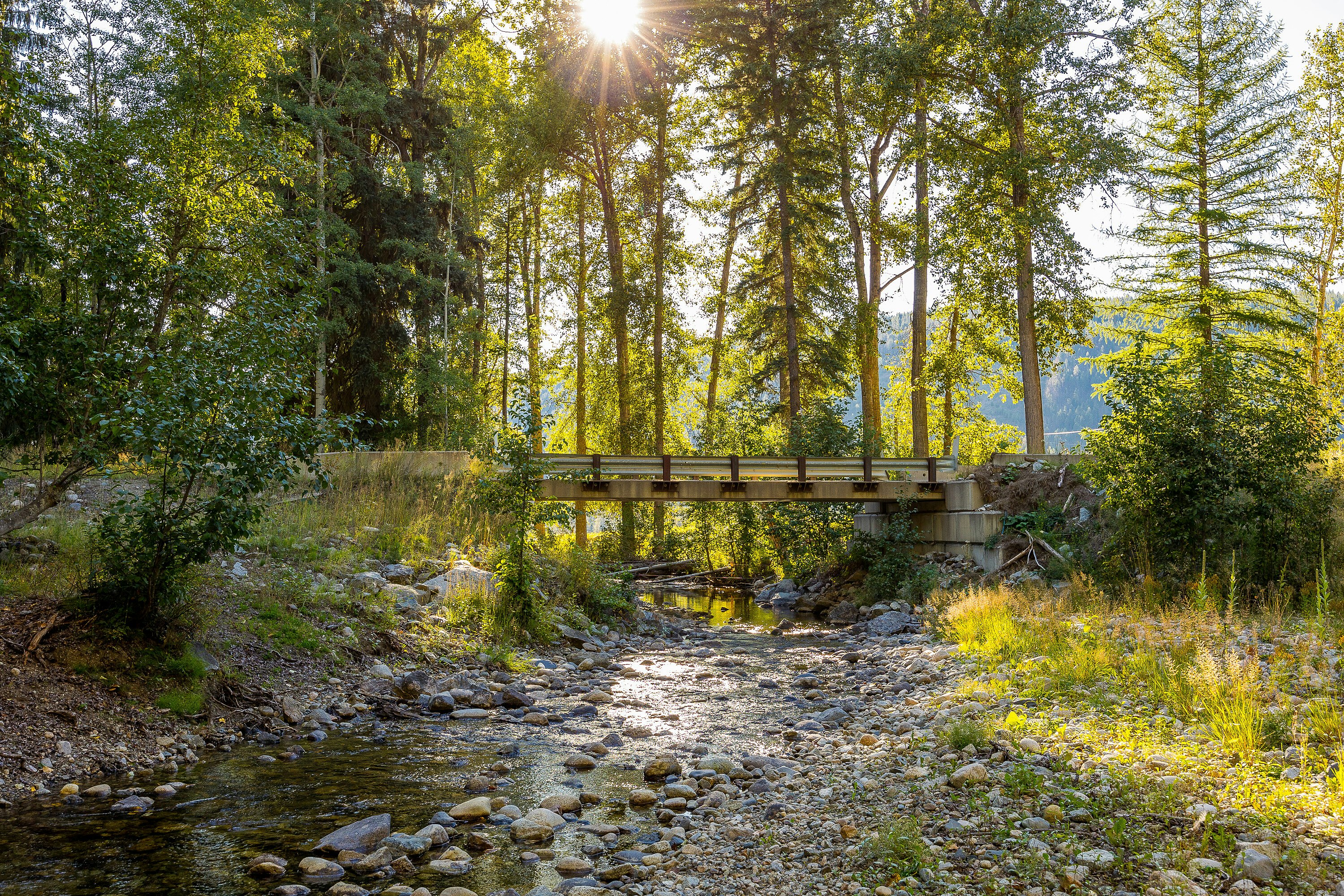 For Sale: 585 Beaver Creek Road, Beaverdell, BC - REW