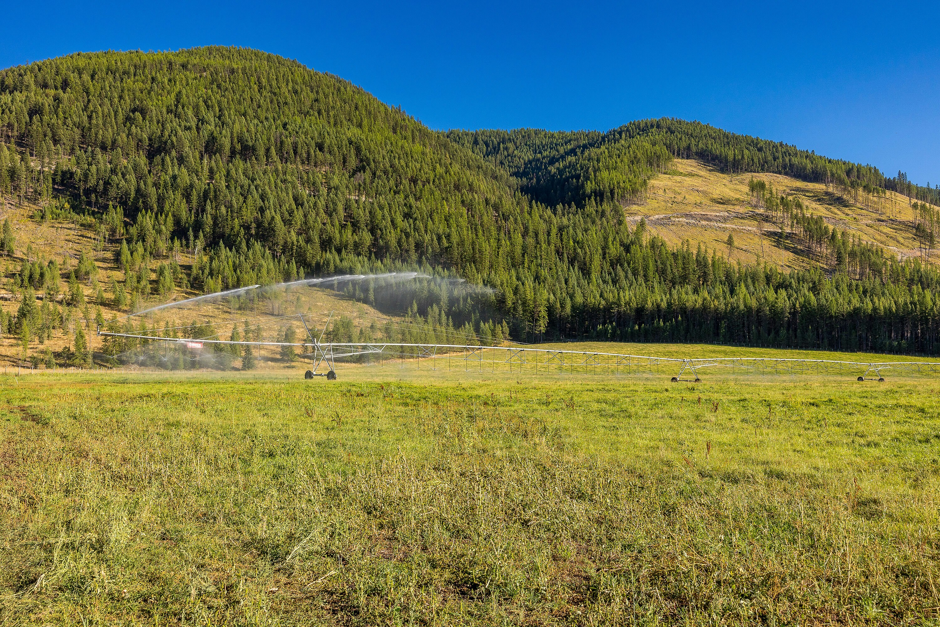 For Sale: 585 Beaver Creek Road, Beaverdell, BC - REW