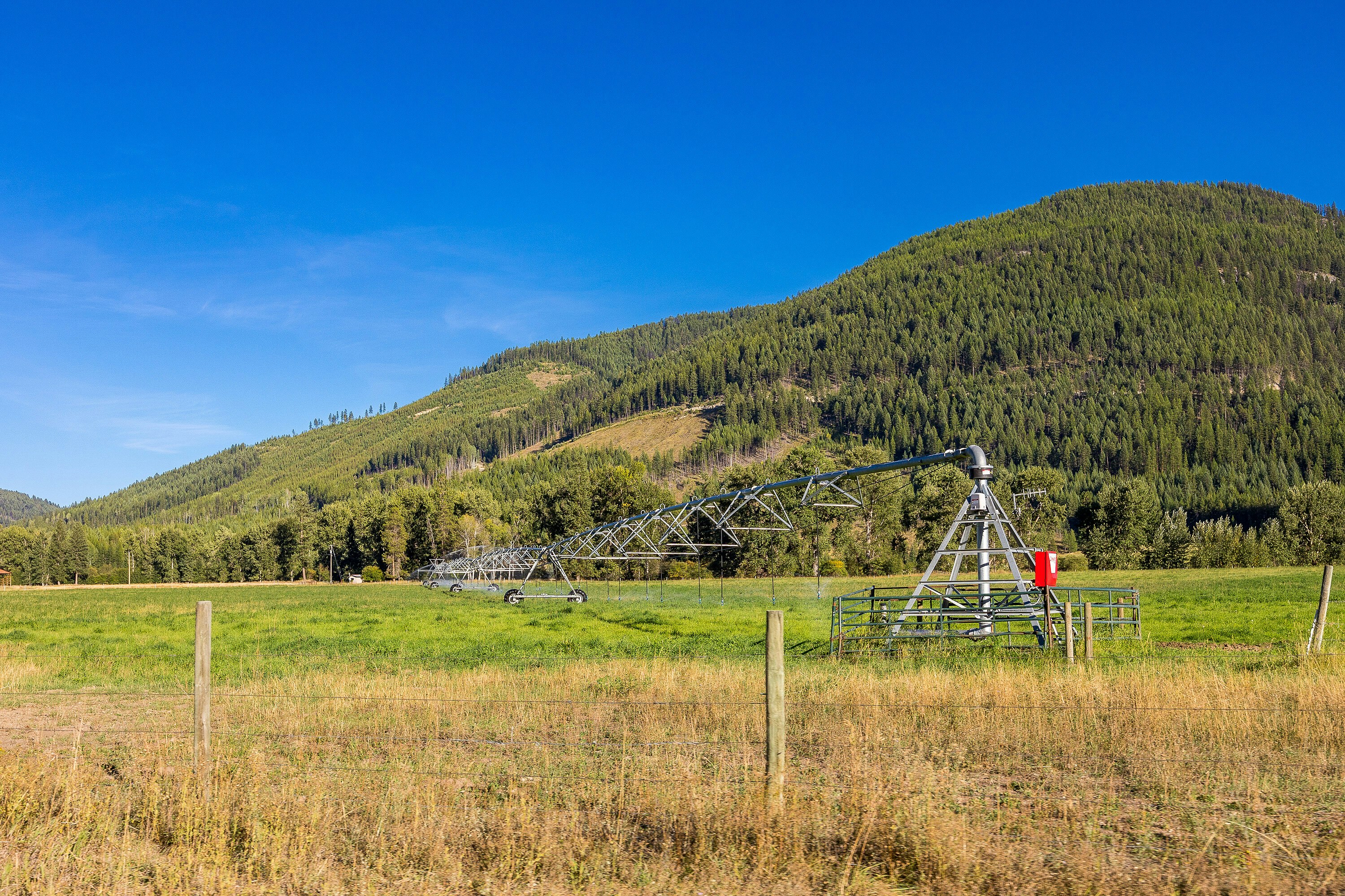 For Sale: 585 Beaver Creek Road, Beaverdell, BC - REW