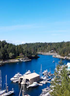 5471 Secret Cove Road 20