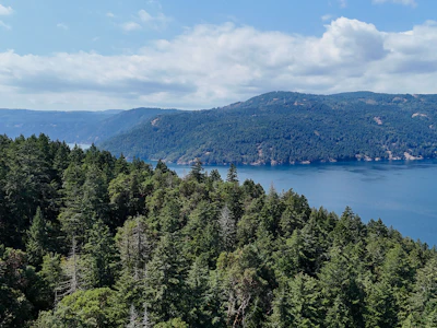 Lot-2 Willis Point Road - 3