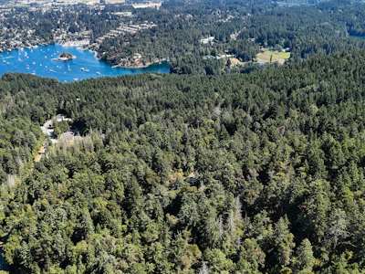 Lot-4 Willis Point Road - 2