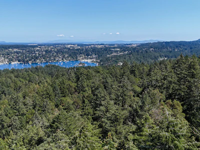 Lot-4 Willis Point Road - 5