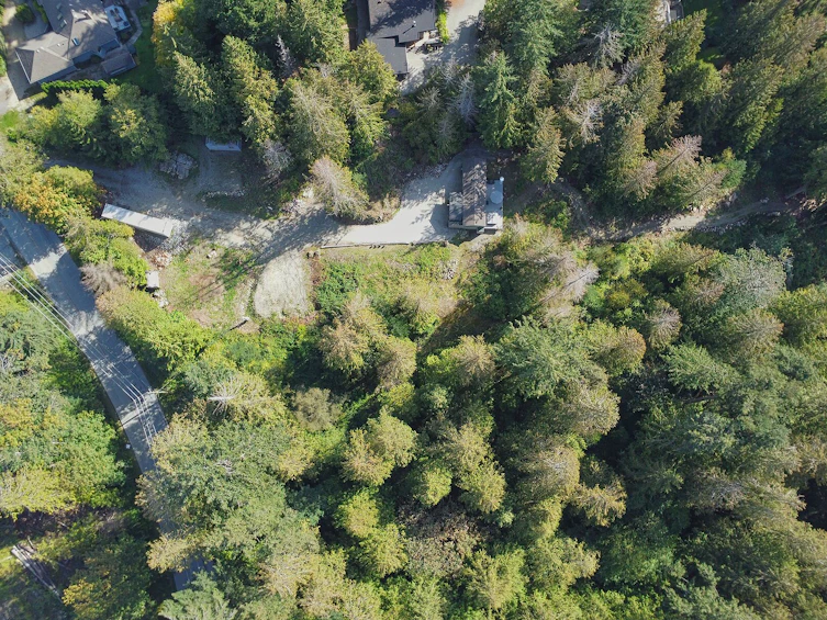 7339 Belle Road, Halfmoon Bay, BC, V7Z 0T3 - 34